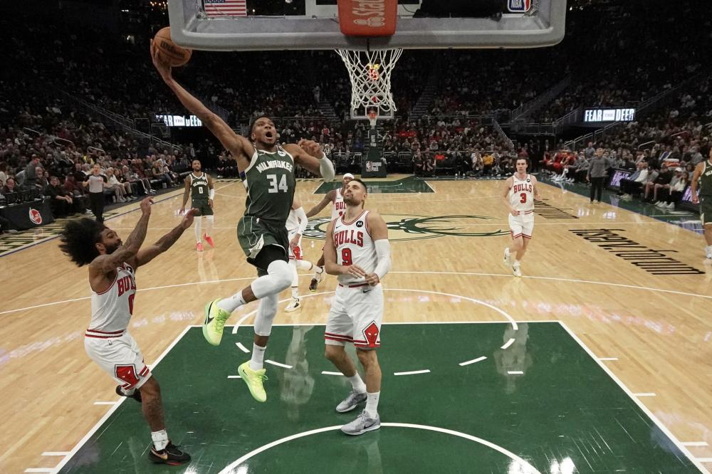 赛的详细数 赛的详细数