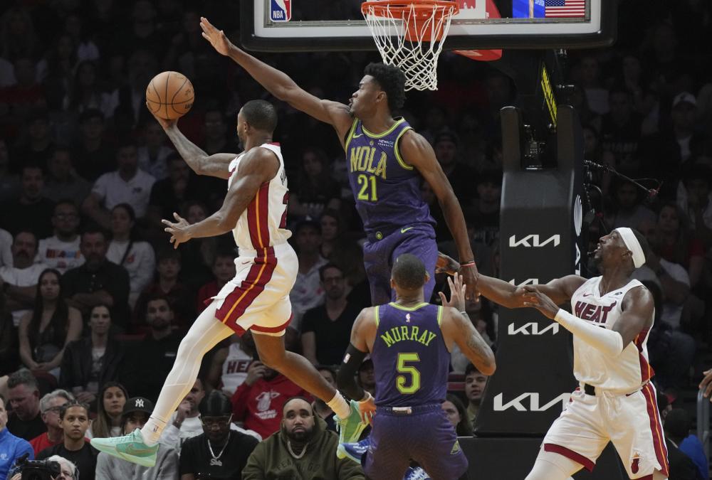 仅展示了林 仅展示了林